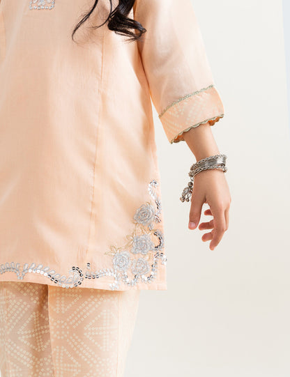 2 PIECE SEQUIN EMBROIDERED SUIT