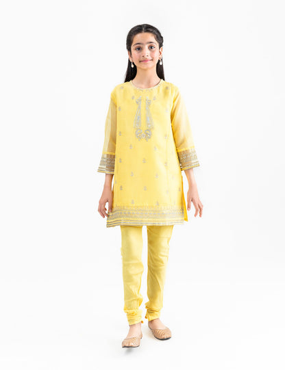 2 PIECE PAISLEY EMBROIDERED SUIT