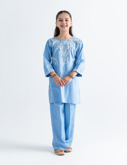 2 PIECE ETHNIC EMBROIDERED SUIT