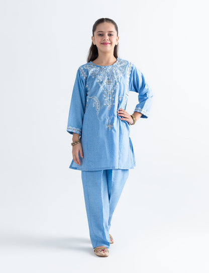 2 PIECE ETHNIC EMBROIDERED SUIT