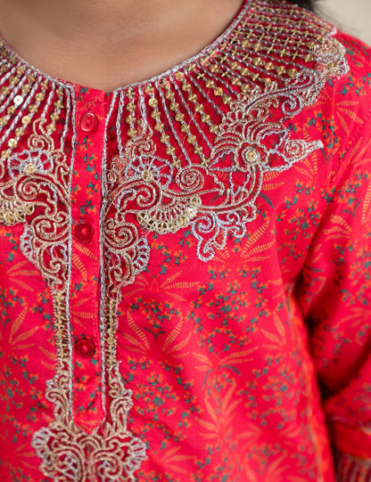 2 PIECE ETHNIC EMBROIDERED SUIT