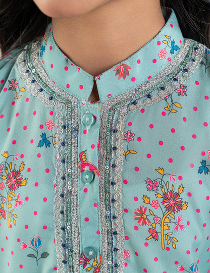 2 PIECE ETHNIC EMBROIDERED SUIT