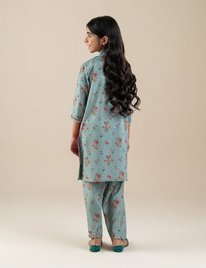 2 PIECE ETHNIC EMBROIDERED SUIT