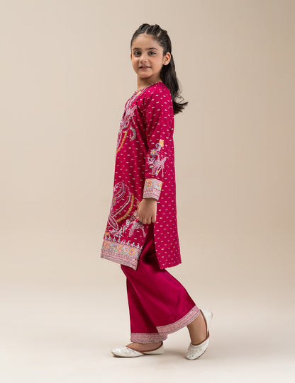 2 PIECE ETHNIC EMBROIDERED SUIT