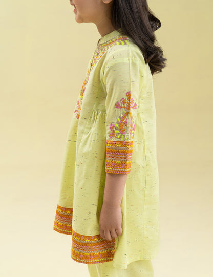 2 PIECE VIBRANT EMBROIDERD SUIT