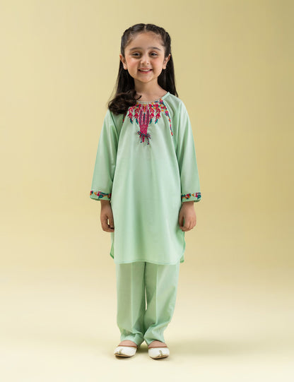 2 PIECE VIBRANT EMBROIDERED SUIT