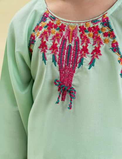 2 PIECE VIBRANT EMBROIDERED SUIT