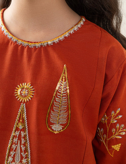 2 PIECE ETHNIC EMBROIDERED SUIT