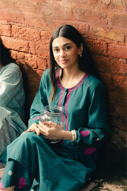 EMBROIDERED CHAMBRAY SHIRT (PRET)