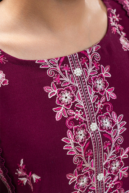 3 PIECE EMBROIDERED SLUB KHADDAR SUIT-FESTIVAL VIBE